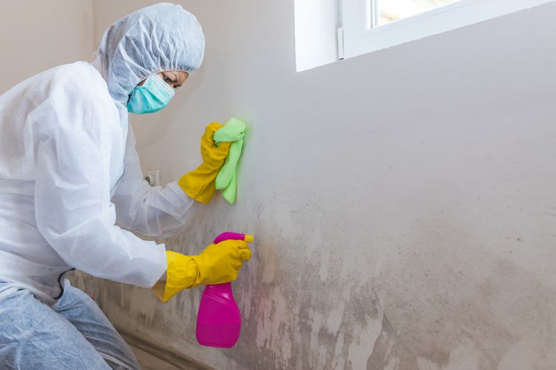 Air Duct Mold Removal in Mckinney, TX