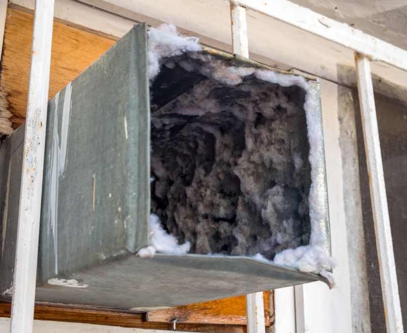Air Duct Mold Removal in Denton, TX