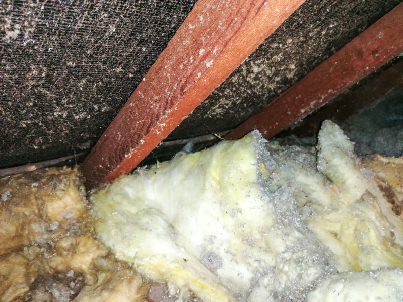 Asbestos Abatement in Freehold, NJ