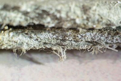 Asbestos Mitigation in Bergen County, NJ