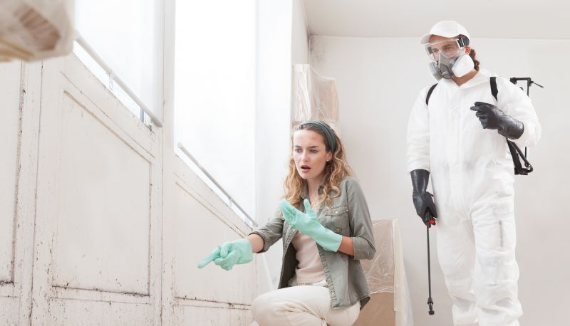 Attic Mold Remediation in Rockwall, TX