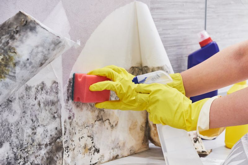 Attic Mold Removal in Palm Beach County, FL