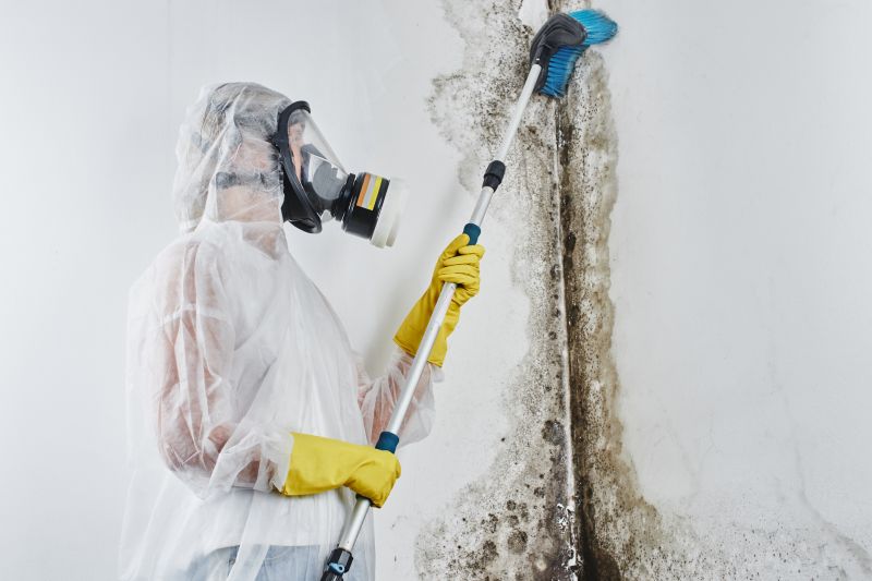 Basement Mold Remediation in Frisco, TX
