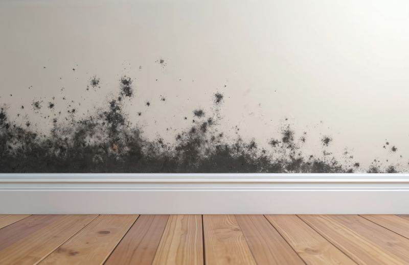 Basement Mold Remediation in Rockwall, TX