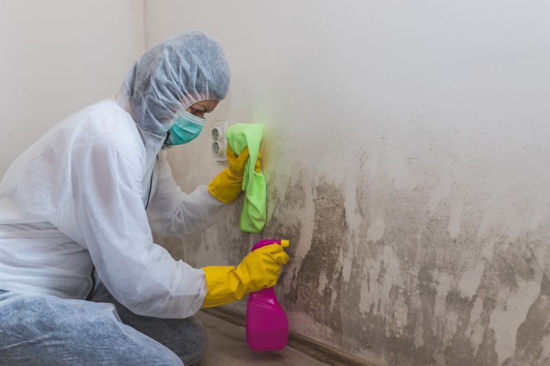 Basement Mold Removal in Essex County, NJ