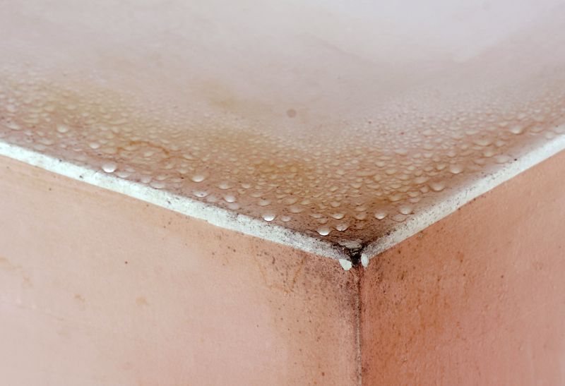 Basement Mold Removal in Broward County, FL