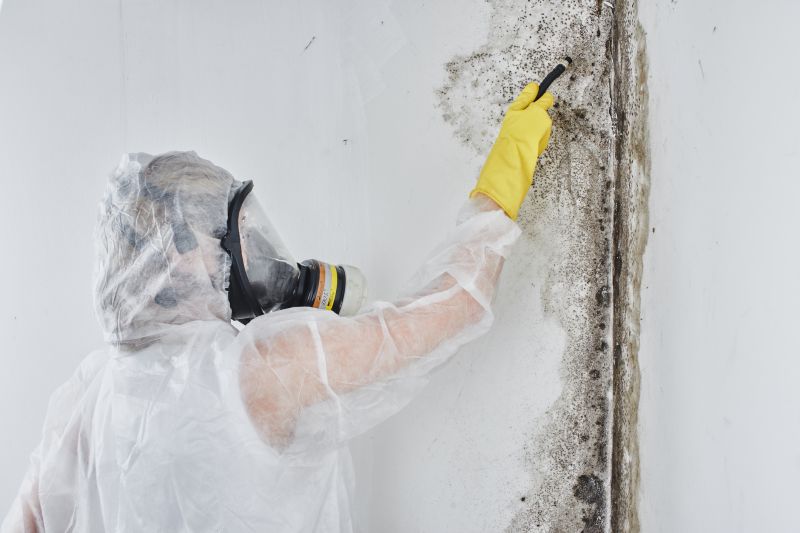 Black Mold Removal in Frederick, MD