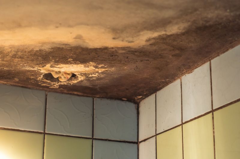 Ceiling Mold Removal in Weatherford, TX