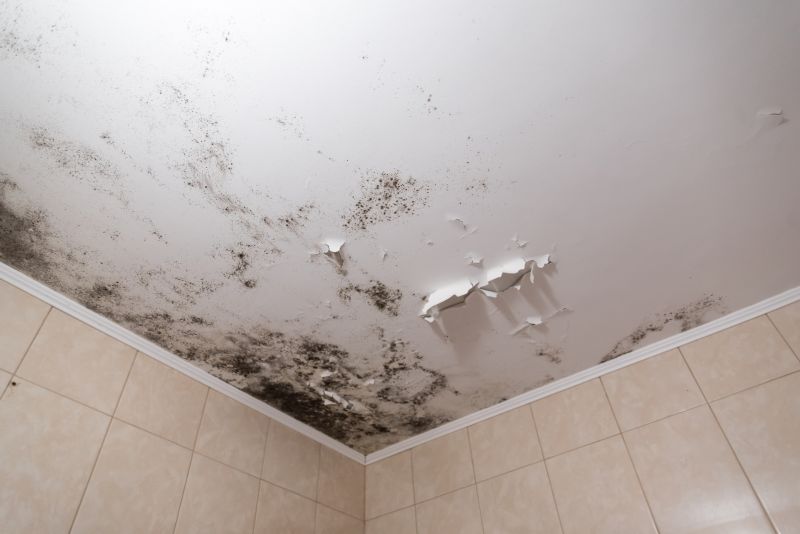Ceiling Mold Removal in Boynton Beach, FL