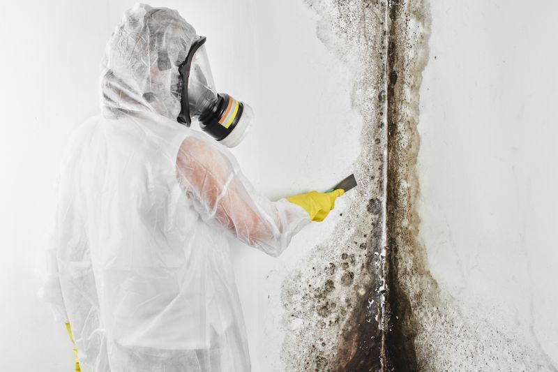 Extent of Mold Contamination