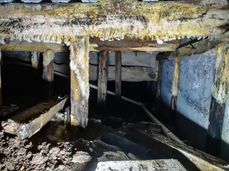 Crawlspace Mold Remediation in Plano, TX