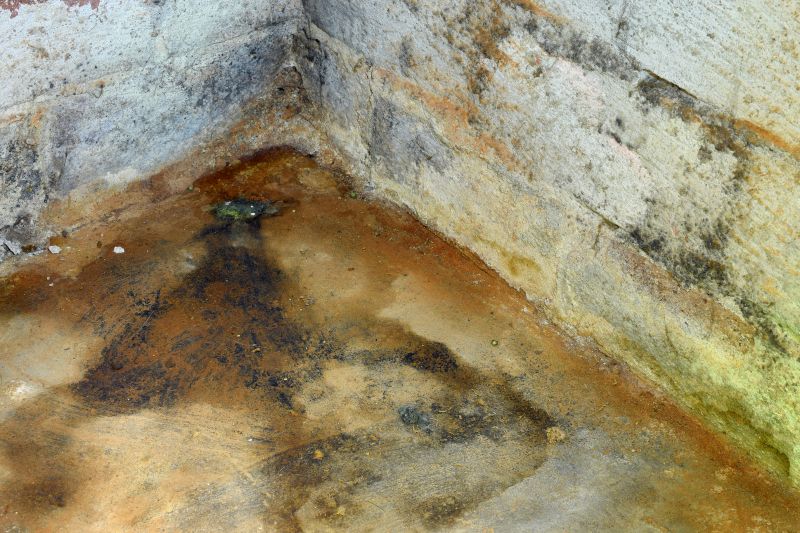 Crawlspace Mold Remediation in Denton, TX