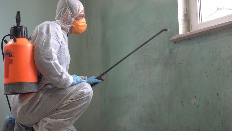 Ermi Testing in Plano, TX