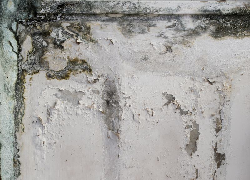 Garage Mold Remediation in Delray Beach, FL