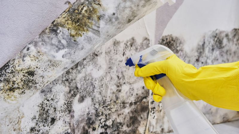 Mold Abatement in Fort Worth, TX