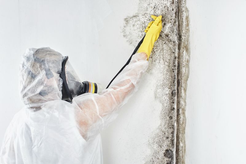 Mold Abatement in Denton, TX