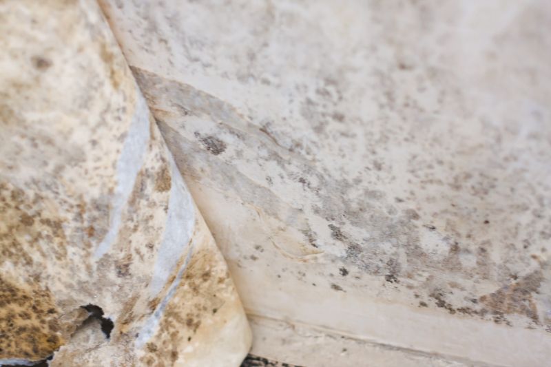 Mold Abatement Service in Boynton Beach, FL