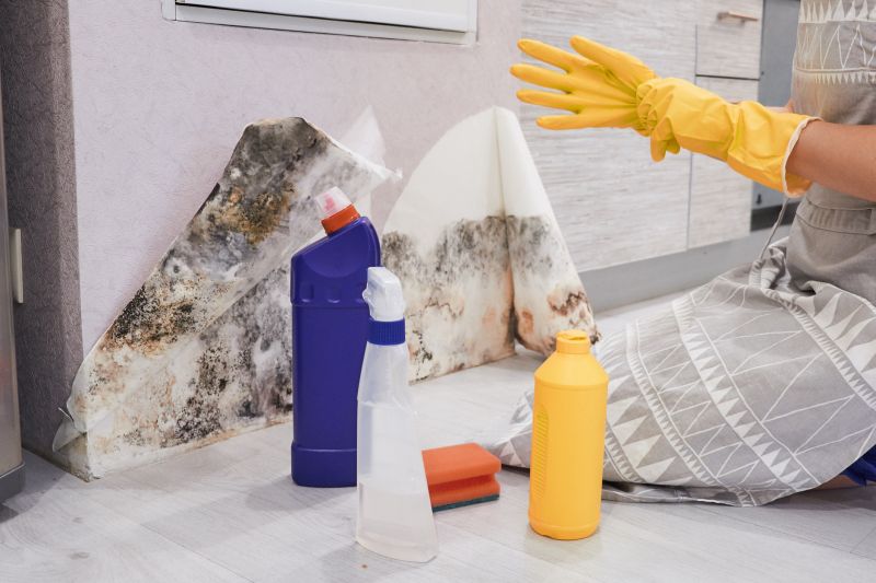 Mold Abatement Service in Rockwall, TX