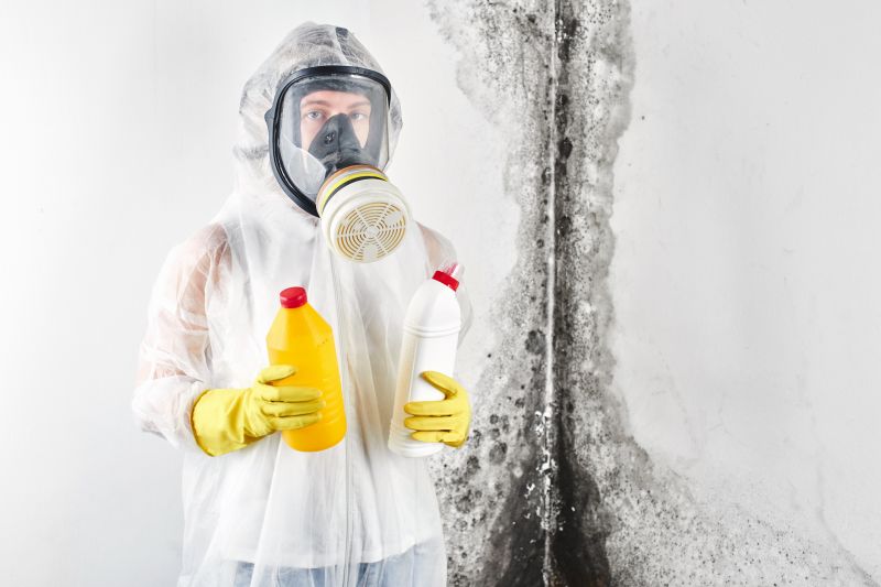 Mold Cleanup Service in Pompano Beach, FL