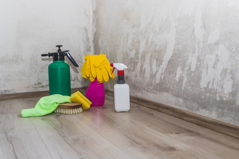 Mold Mitigation Service in Weatherford, TX