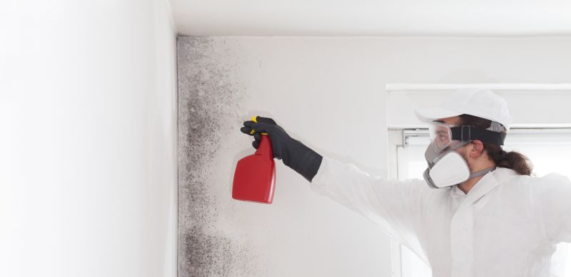 Mold Mitigation Service in Plano, TX