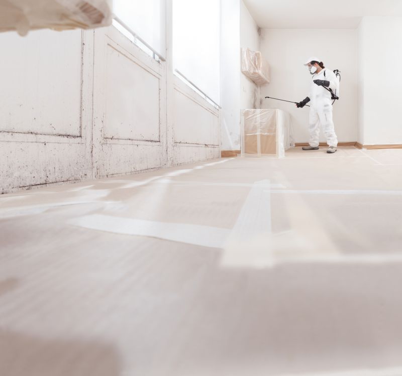 Mold Mitigation Service in Pompano Beach, FL
