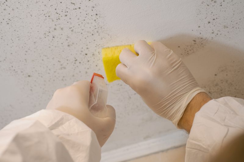 Mold Remediation Service in West Palm Beach, FL