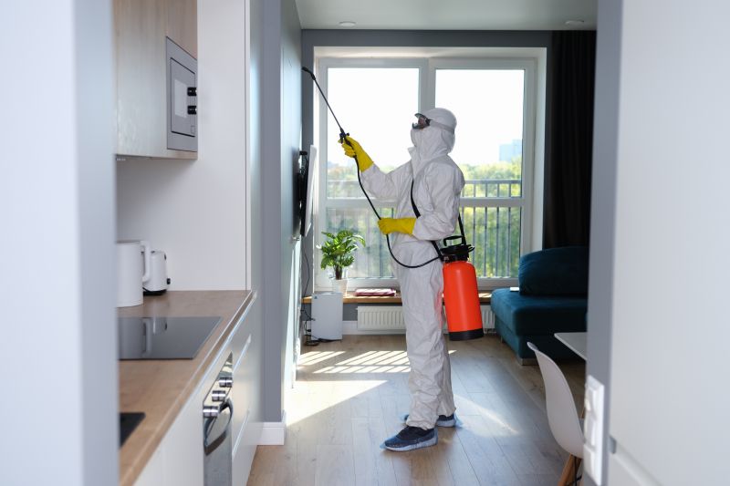 Mold Removal in Plano, TX