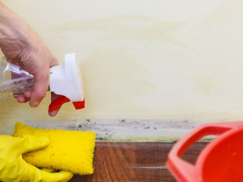 Mold Restoration in Arlington, TX
