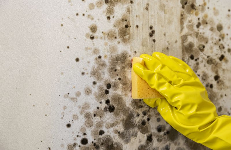 Mold Restoration in Arlington, TX