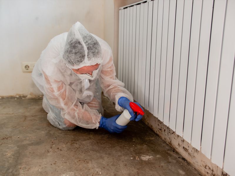 Mold Restoration in Delray Beach, FL
