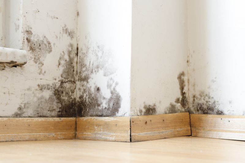 Mold Restoration in Delray Beach, FL