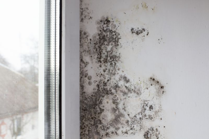 Mold Restoration in Boynton Beach, FL