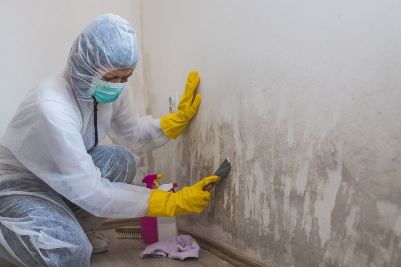 Mold Restoration in Pompano Beach, FL