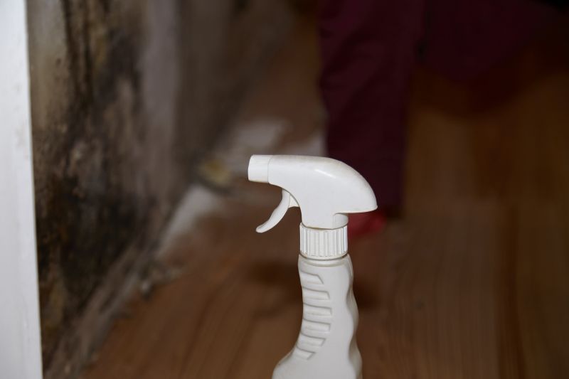 Mold Treatment Service in Boynton Beach, FL