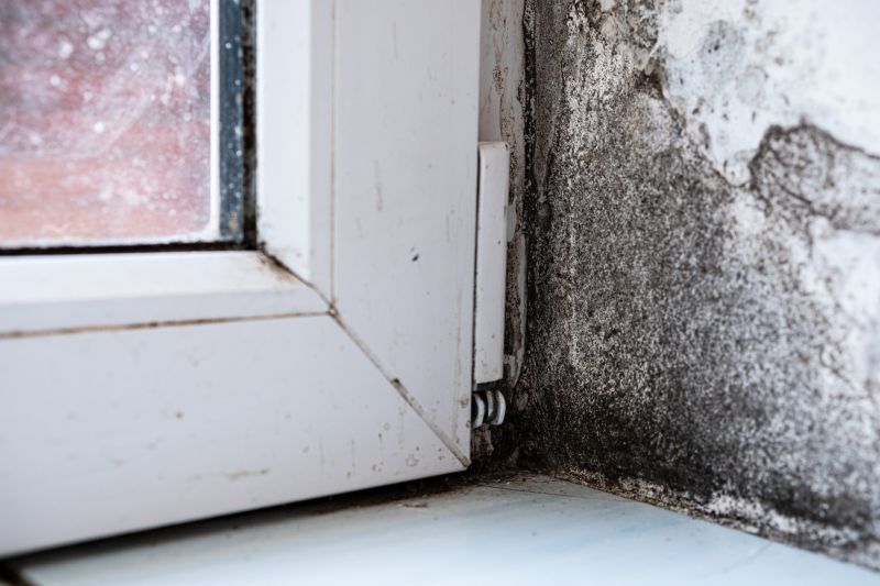 Mold Treatment Service in Pompano Beach, FL
