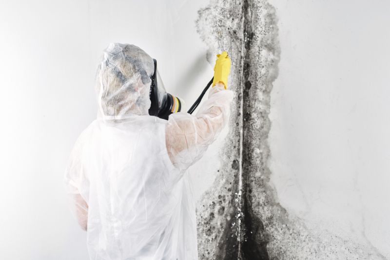 Products For Black Mold Abatements in use