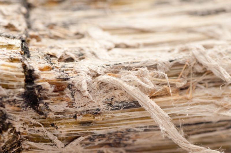 Vermiculite Removal Service in Monmouth County, NJ