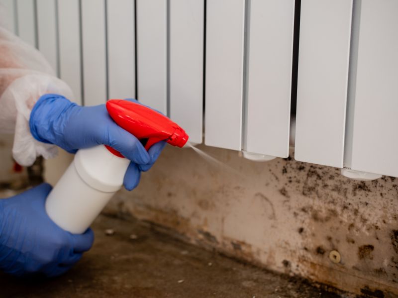 Air Duct Mold Removal in Fort Worth, TX