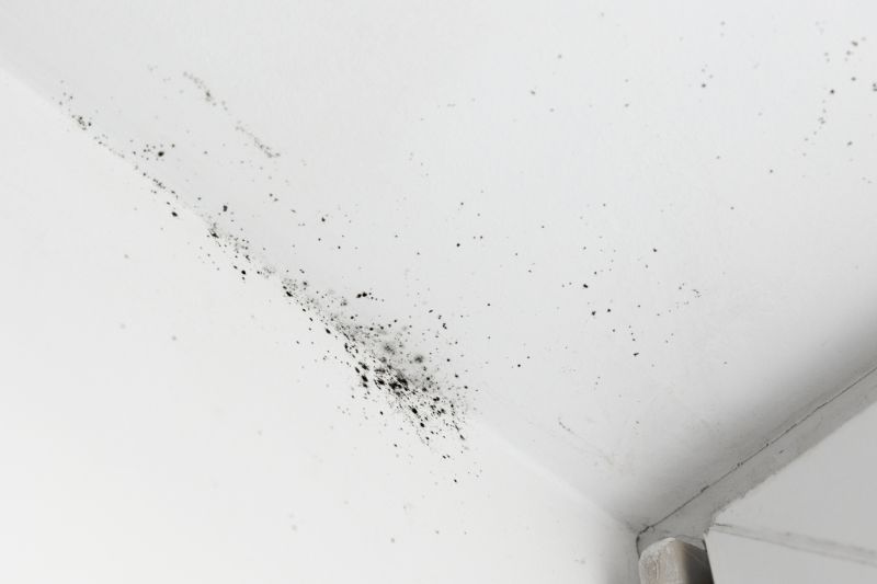 Ceiling Mold Removal in Weatherford, TX