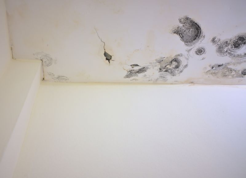 Ceiling Mold Removal in Denton, TX