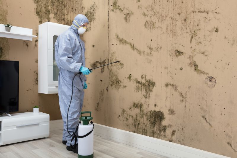 Mold Control in Jupiter, FL