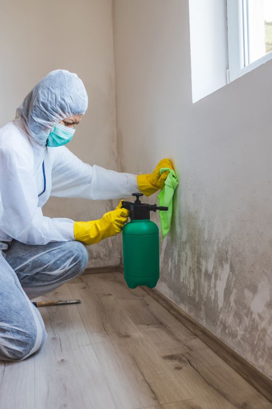 Mold Mitigation Service in Boynton Beach, FL