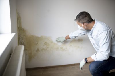 Mold Remediation Service in Bergen County, NJ