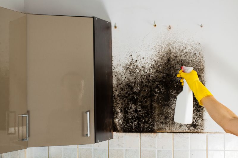 Mold Removal in Palm Beach County, FL