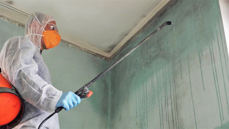 Mold Treatment Service in Weatherford, TX